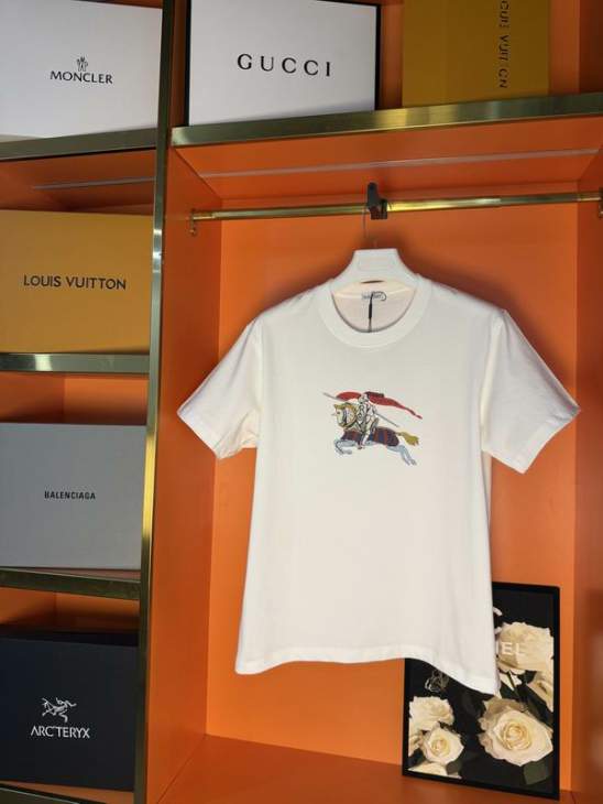 Picture of Burberry T Shirts Short _SKUBurberryXS-Llzytx007019176
